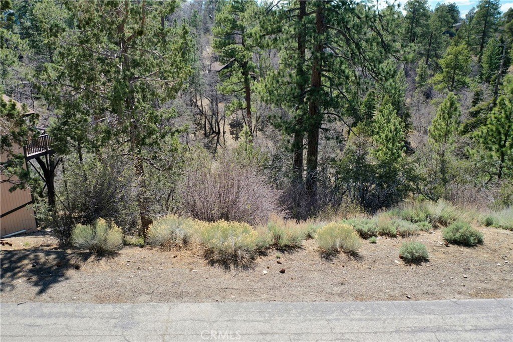 Picture 15