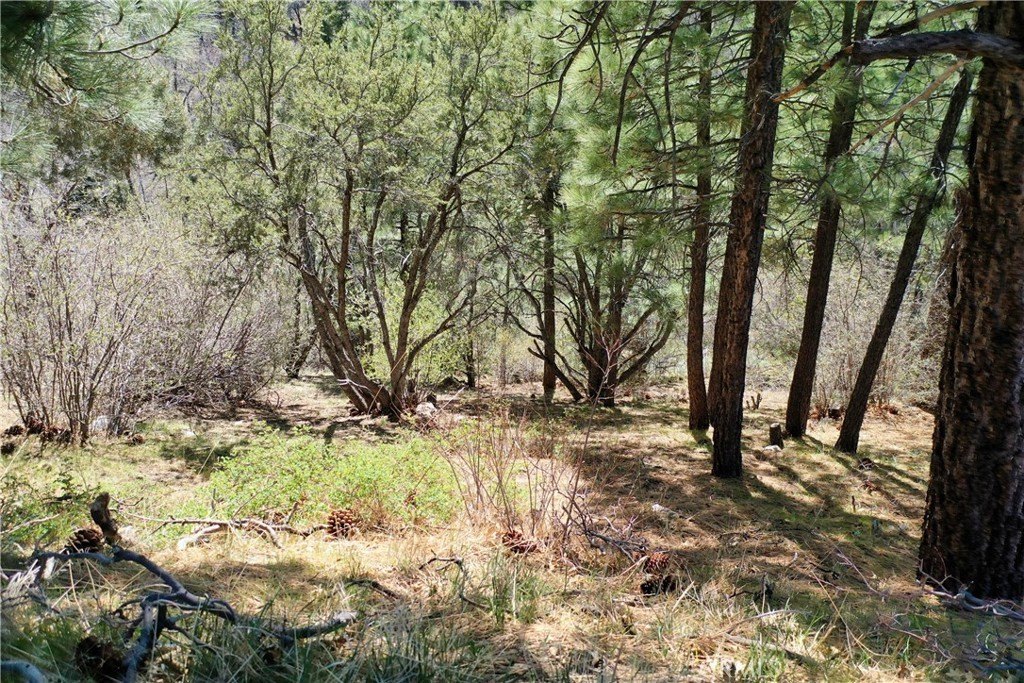 Picture 16