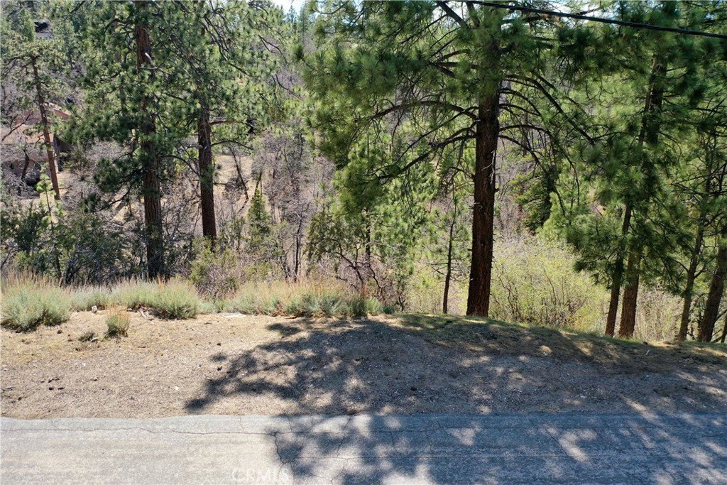 Picture 7