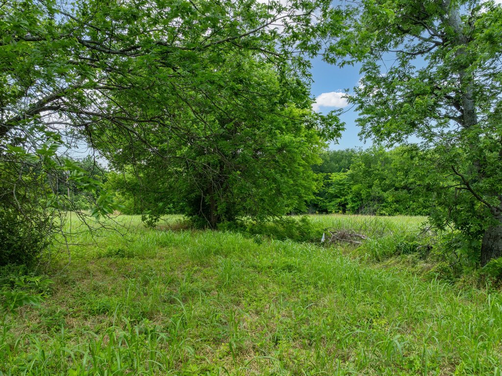 Picture 31