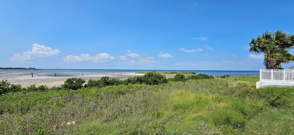 Picture 7
