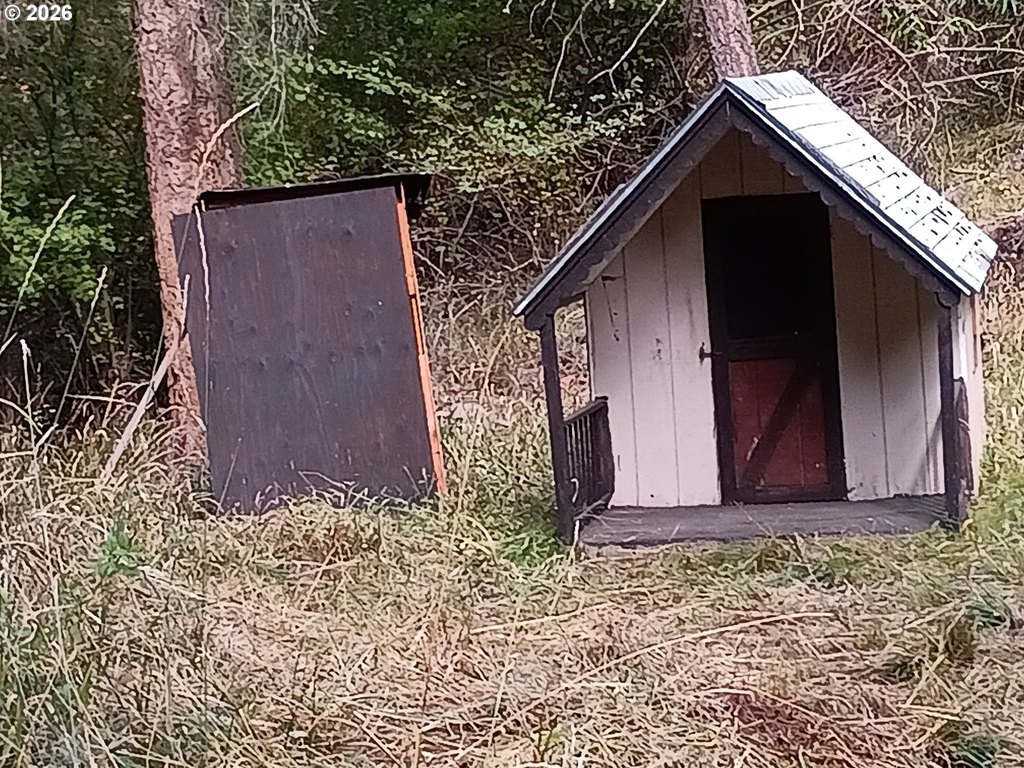 Picture 24