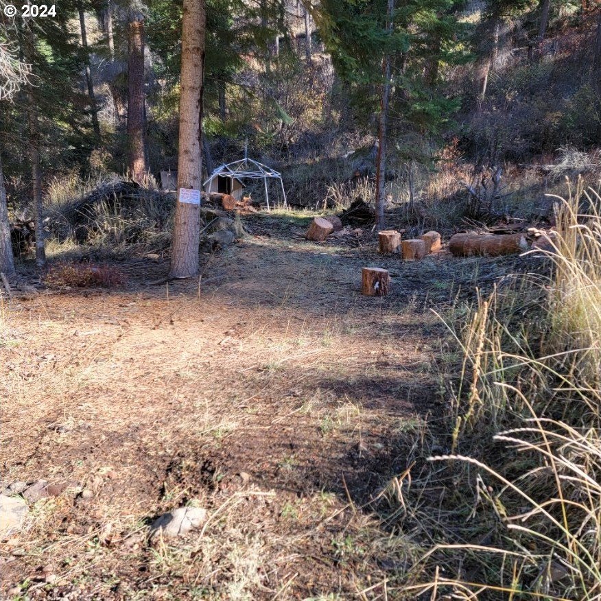 Imnaha Buildable Lot For Sale