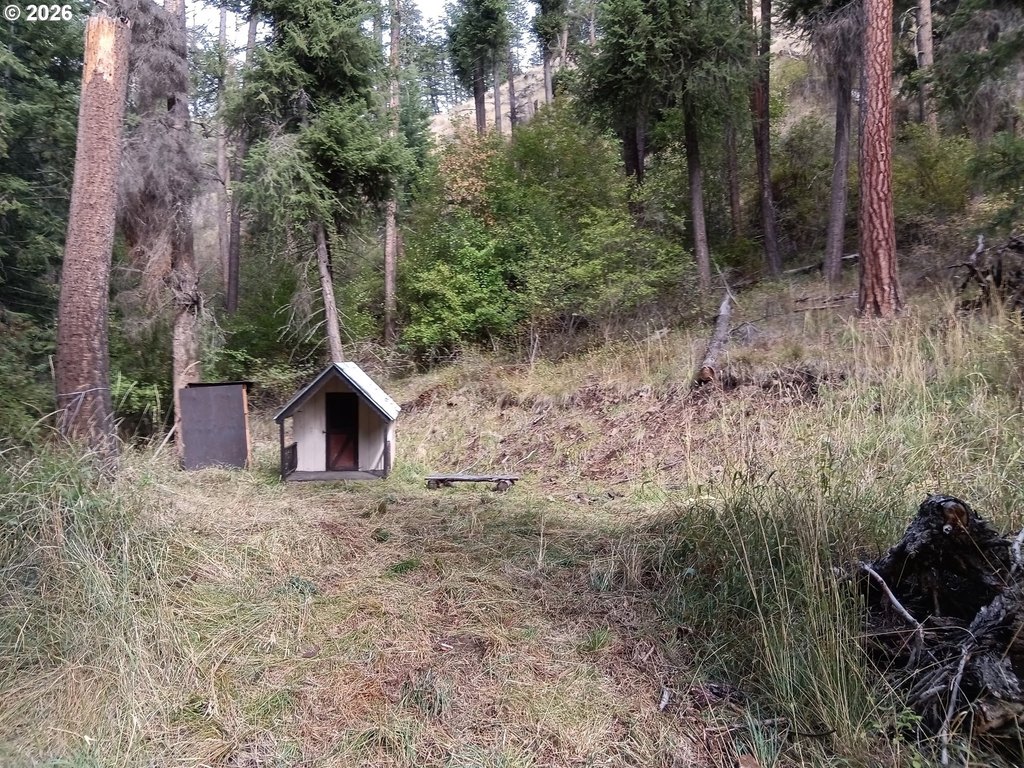 Picture 3