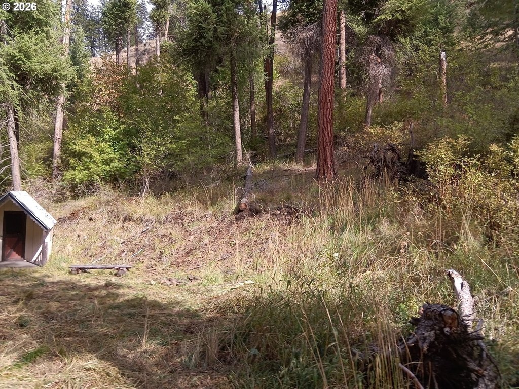 Picture 21