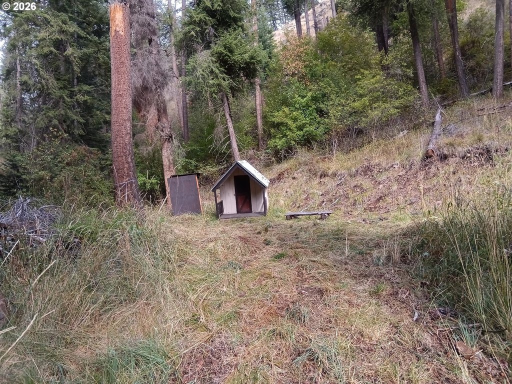Picture 23