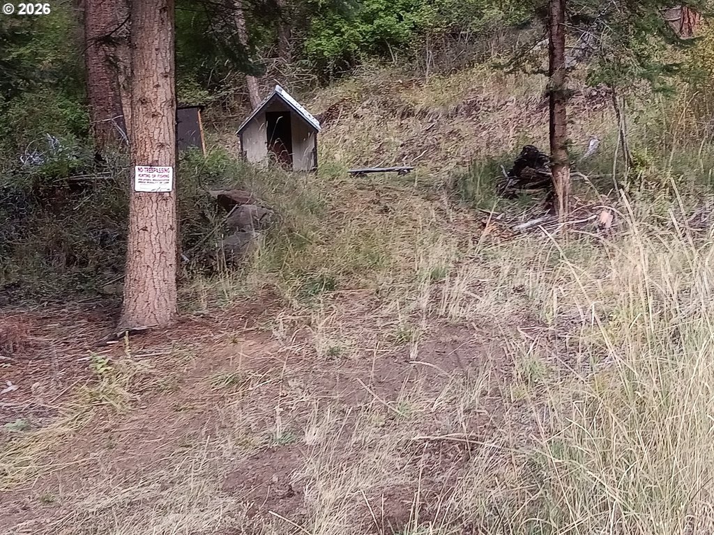 Picture 17