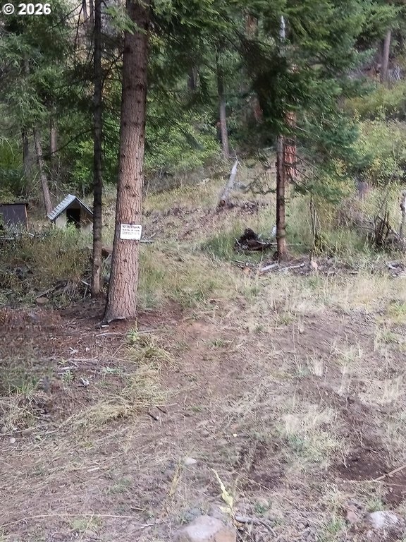 Picture 15
