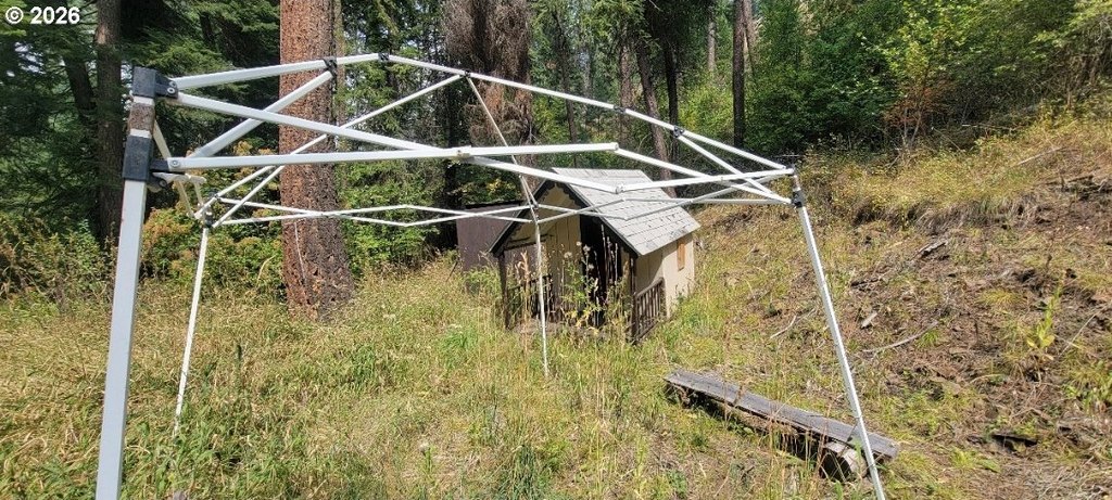 Picture 10