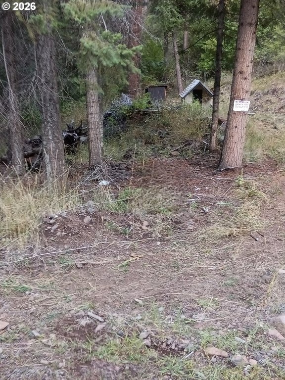 Picture 14