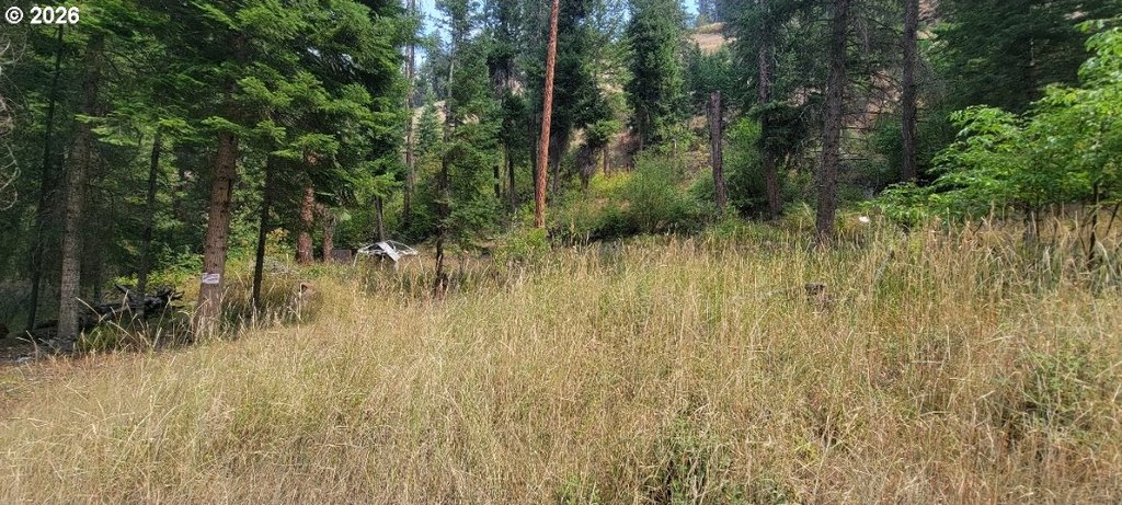 River Canyon Rd, Imnaha, OR 97842