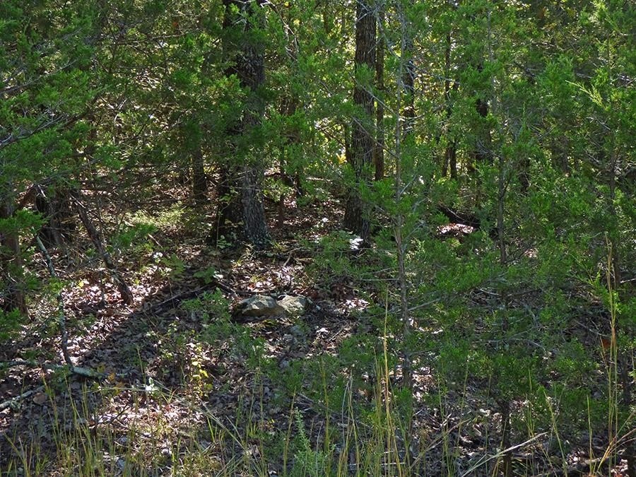 Picture 3