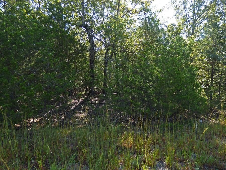 Picture 5