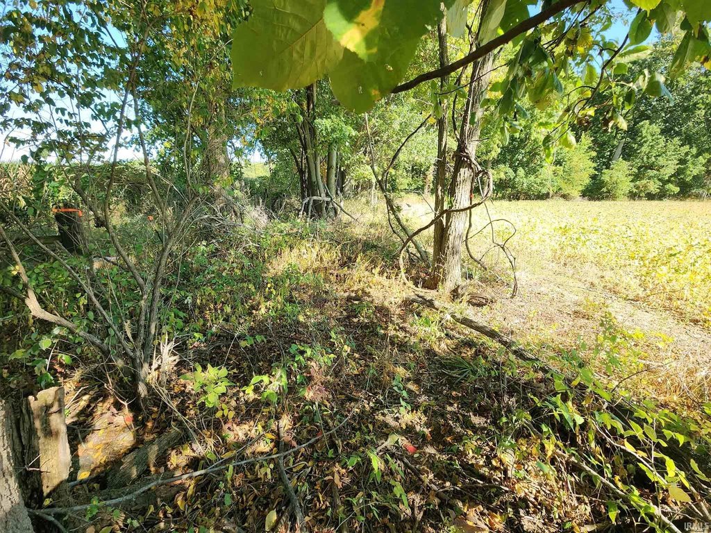 Picture 23