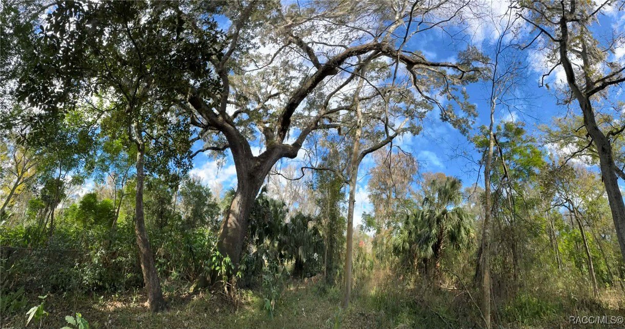 Inverness Land For Sale