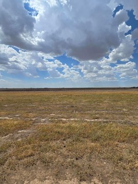 Land -40, Amarillo, TX