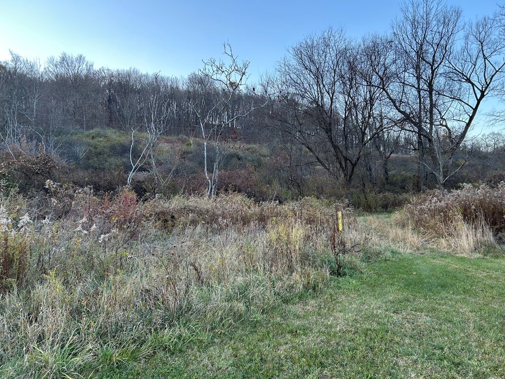 Picture 3