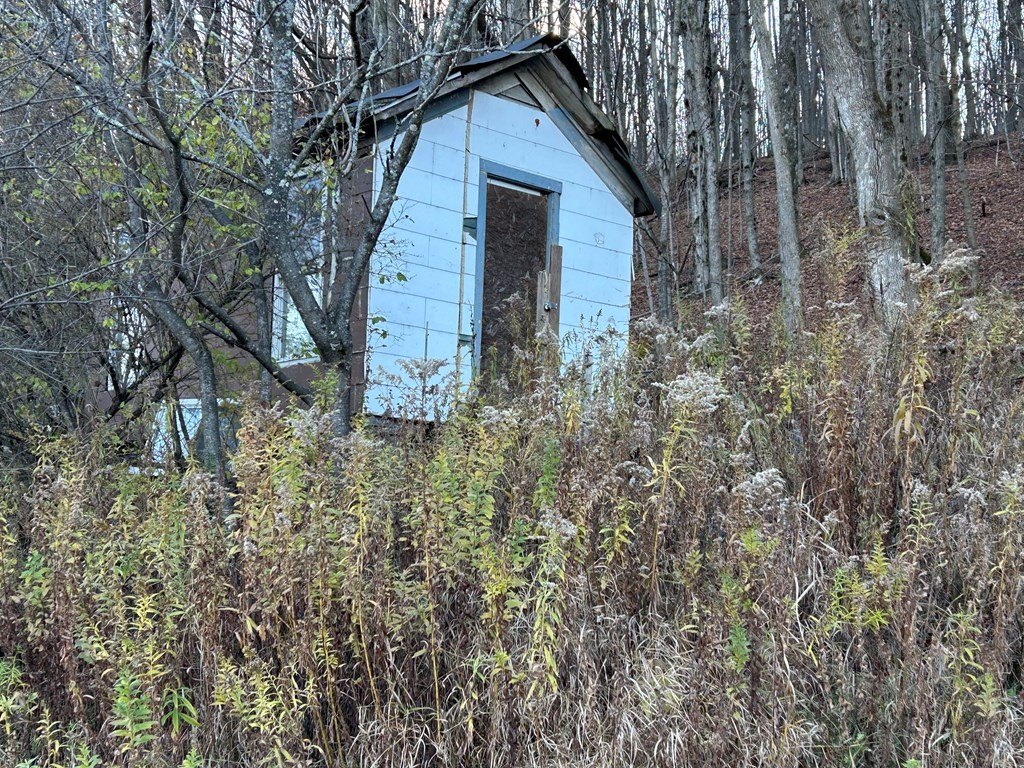 Picture 14