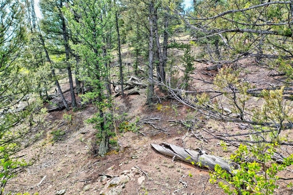 Picture 14