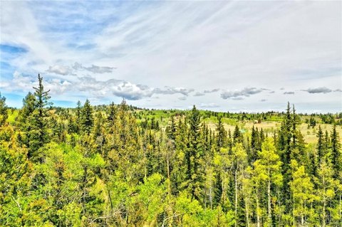 Como, Colorado 3-Acre Treed Lot