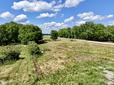Pastureland Opportunity Near Vicksburg