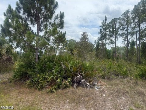 LAND - Lehigh Acres, FL