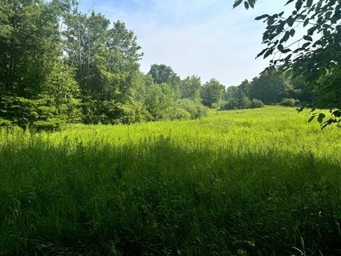Hunting Land with Open Meadow Corner