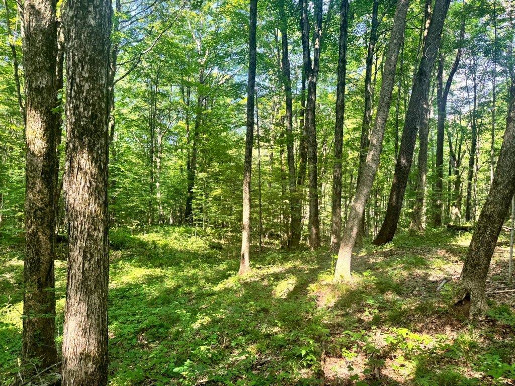 Picture 19