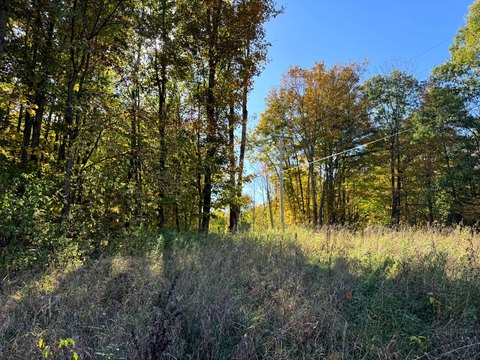 Country Home Build Site Land