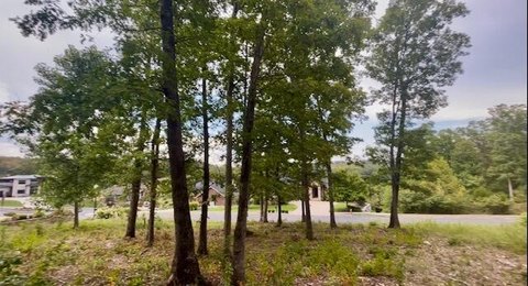 Half-Acre Land in Branson