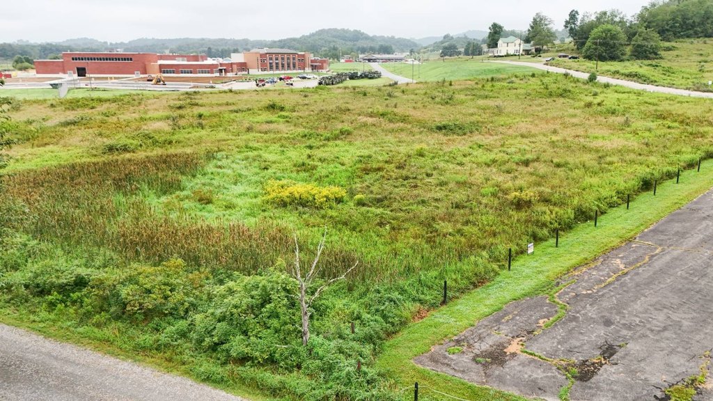 Picture 3