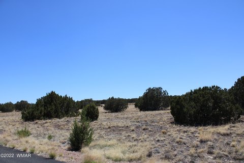 Residential Land in Show Low