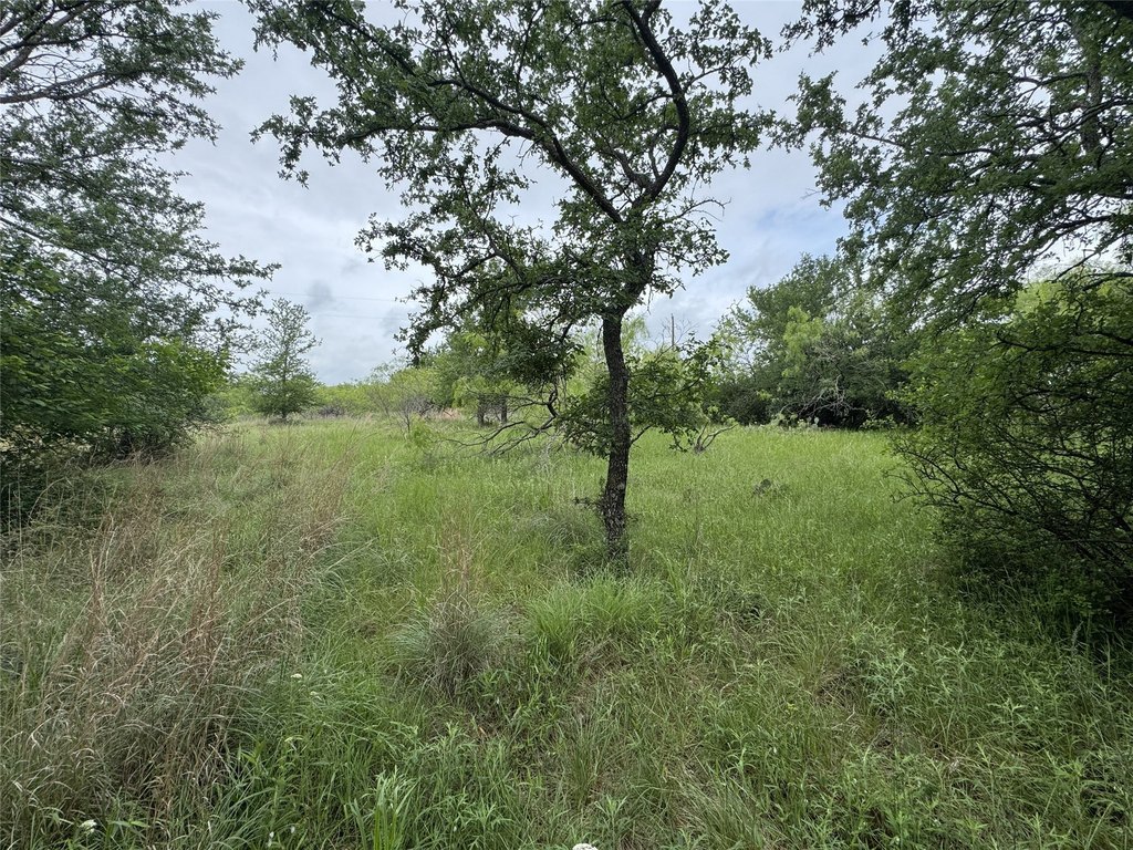 Picture 37