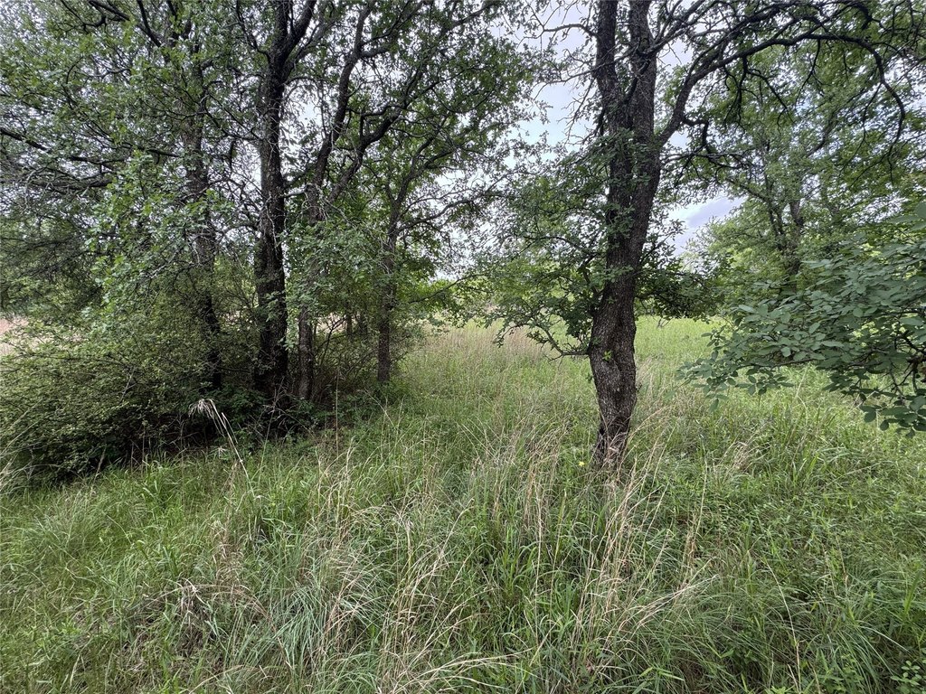 Picture 35