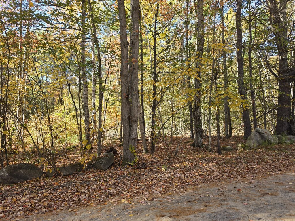 Picture 13