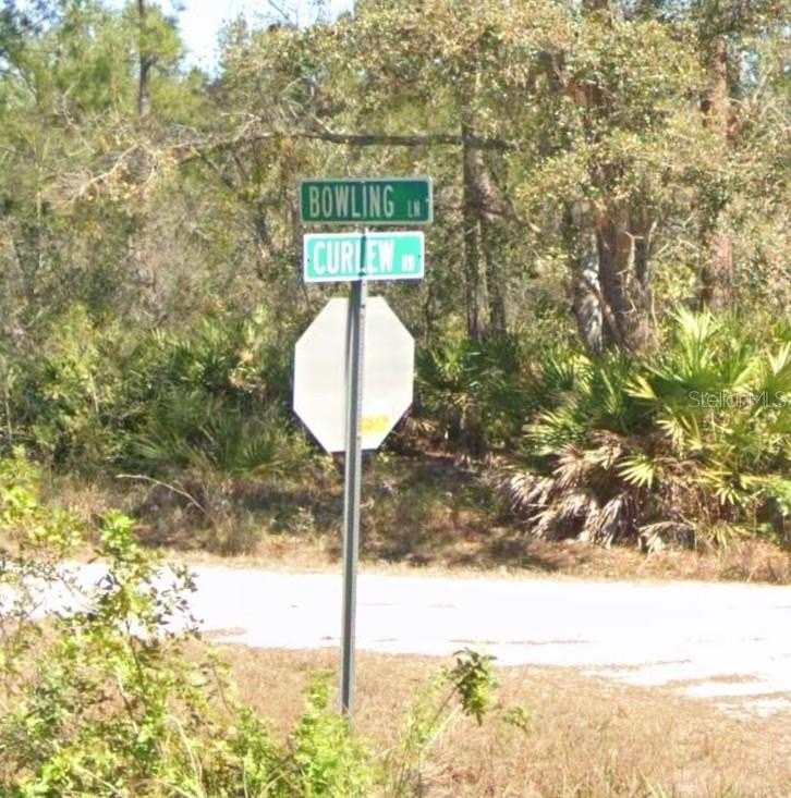 Picture 8