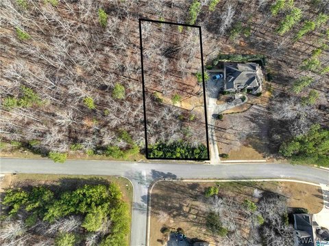 LAND - Chelsea, AL