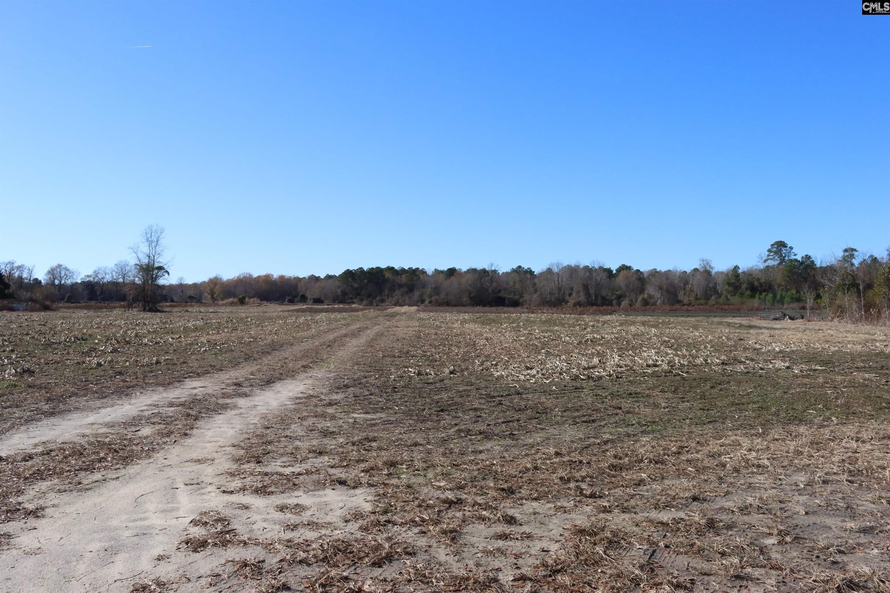Riverfront Land with Planned Duck Pond