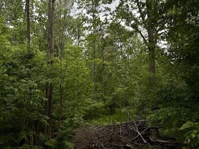 Picture 19
