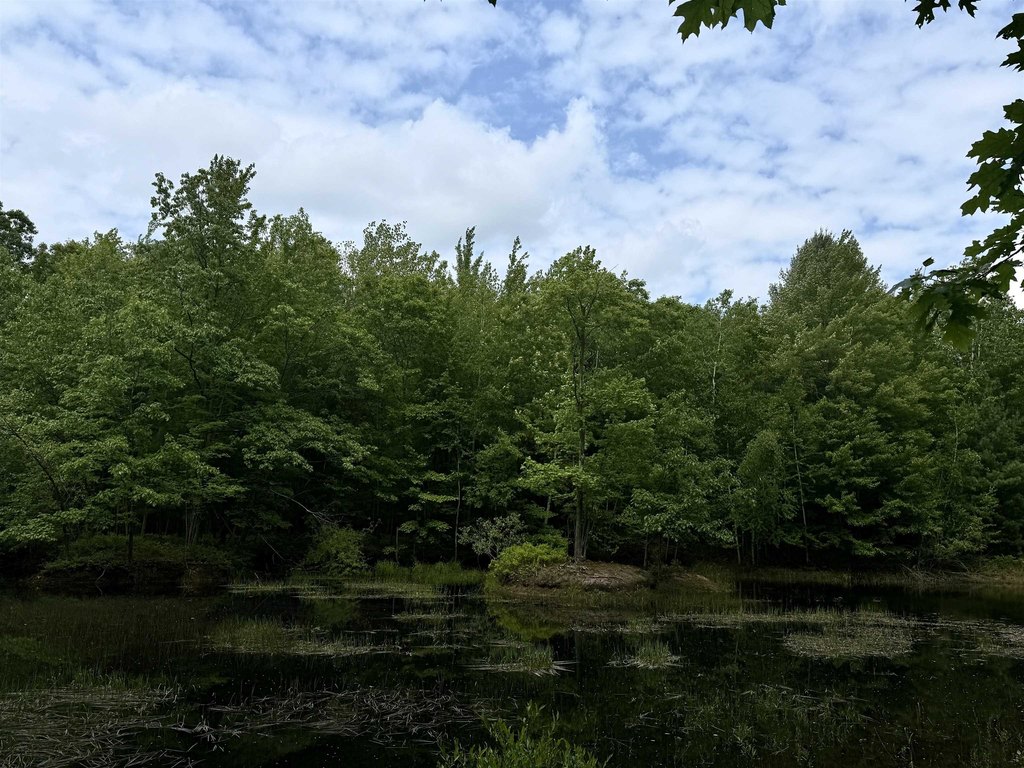 Picture 20