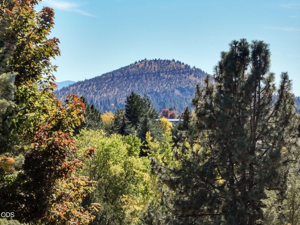 Picture 27