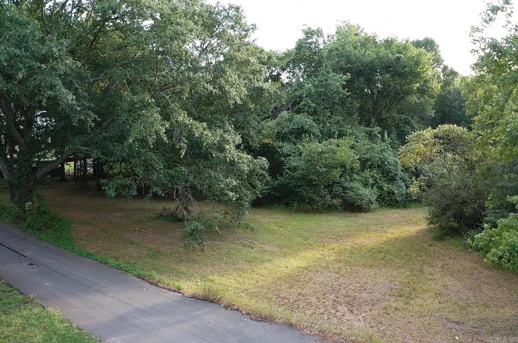 Picture 8