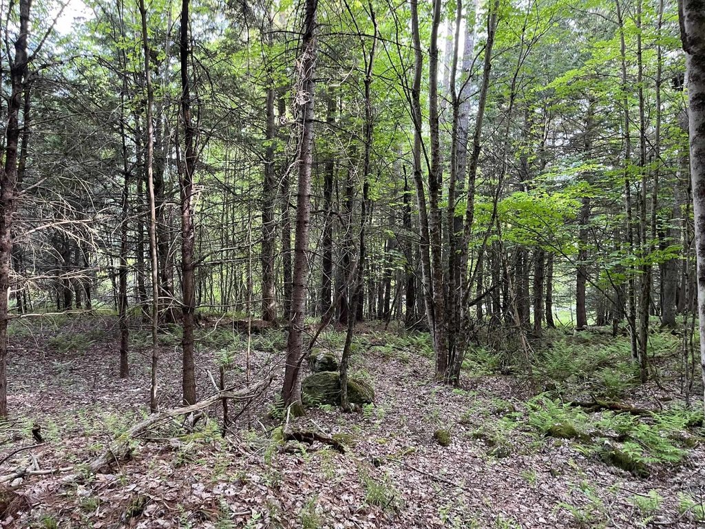 Picture 25