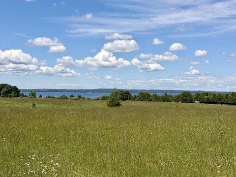 CHEBOYGAN, MI