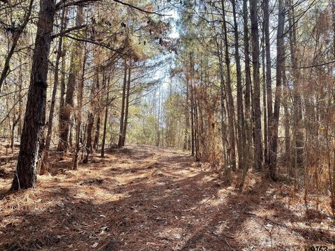 Winona, TX Rural Acreage