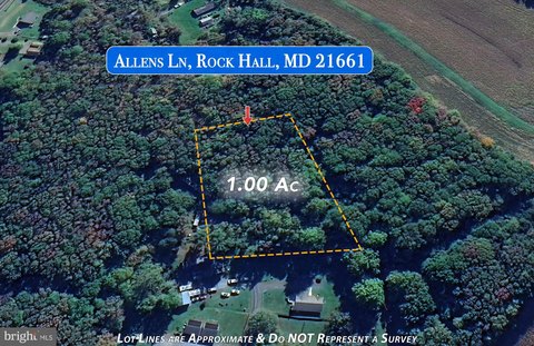 Wooded Acre Lot in Rock Hall