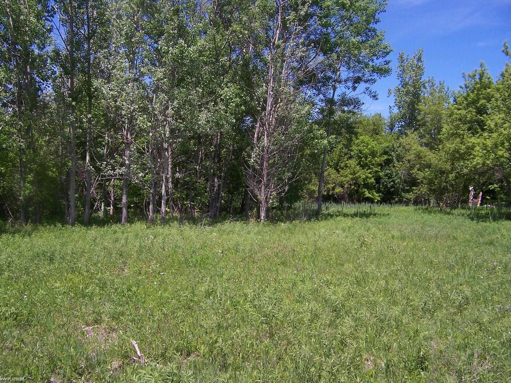 Picture 2