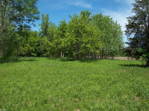 Commercial Land with Utilities