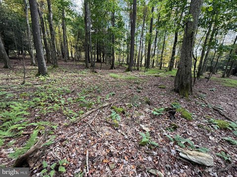 Land, OAKLAND, MD