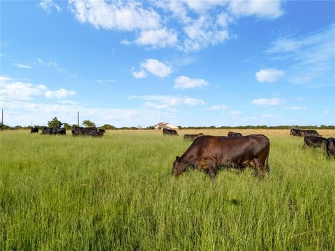 Eddy, TX Land Opportunity